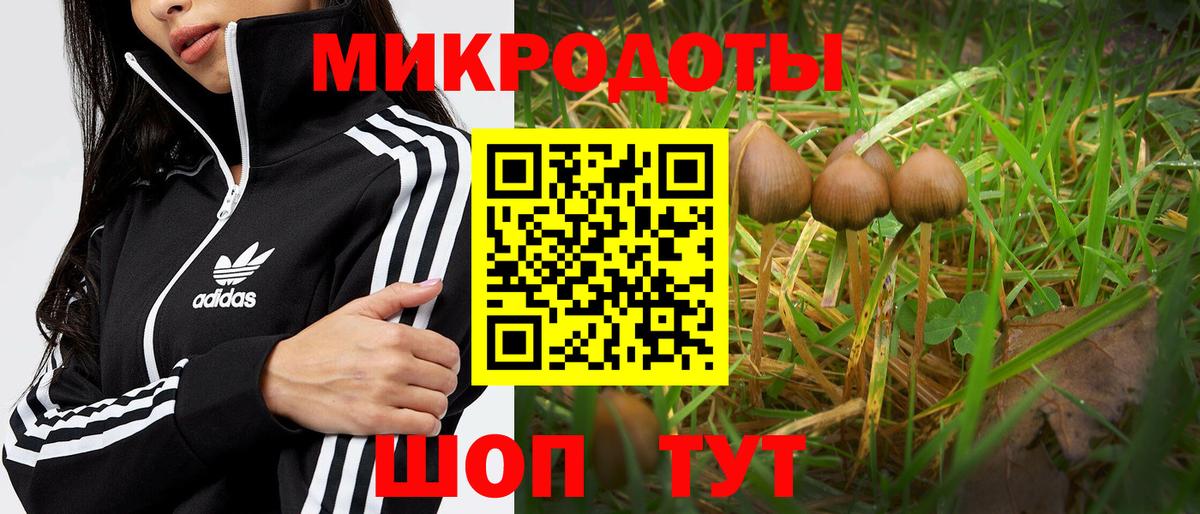 Галлюциногенные грибы Cubensis Великий Устюг